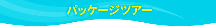 パッケージツアー