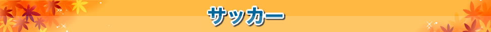 サッカー観戦ツアー